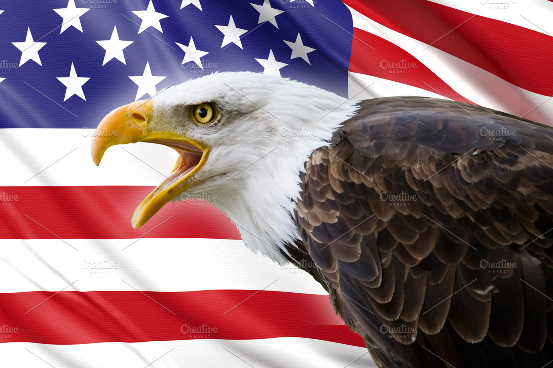 Bald eagle and usa flag featuring america, american, and animal, an Animal Photo by De todo un poco