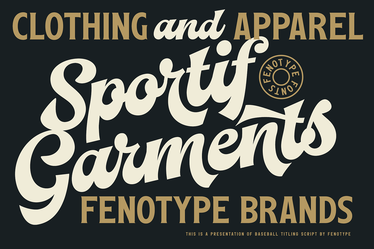 Baseball -Sport Font, a Script Font by Fenotype (Photo 4 of 14)
