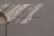 Natural Shadow Zen Overlays, a Texture Graphic by Feather & Sage Design (Thumbnail 2 of 14)