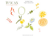 Tuscan Vineyard Whimsical Graphics, a Background Graphic by Essem Creatives (Thumbnail 5 of 7)