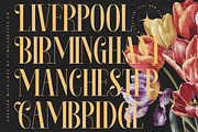 Rosejacn Modern Display Serif, a Serif Font by timelesstype.co (Thumbnail 5 of 20)