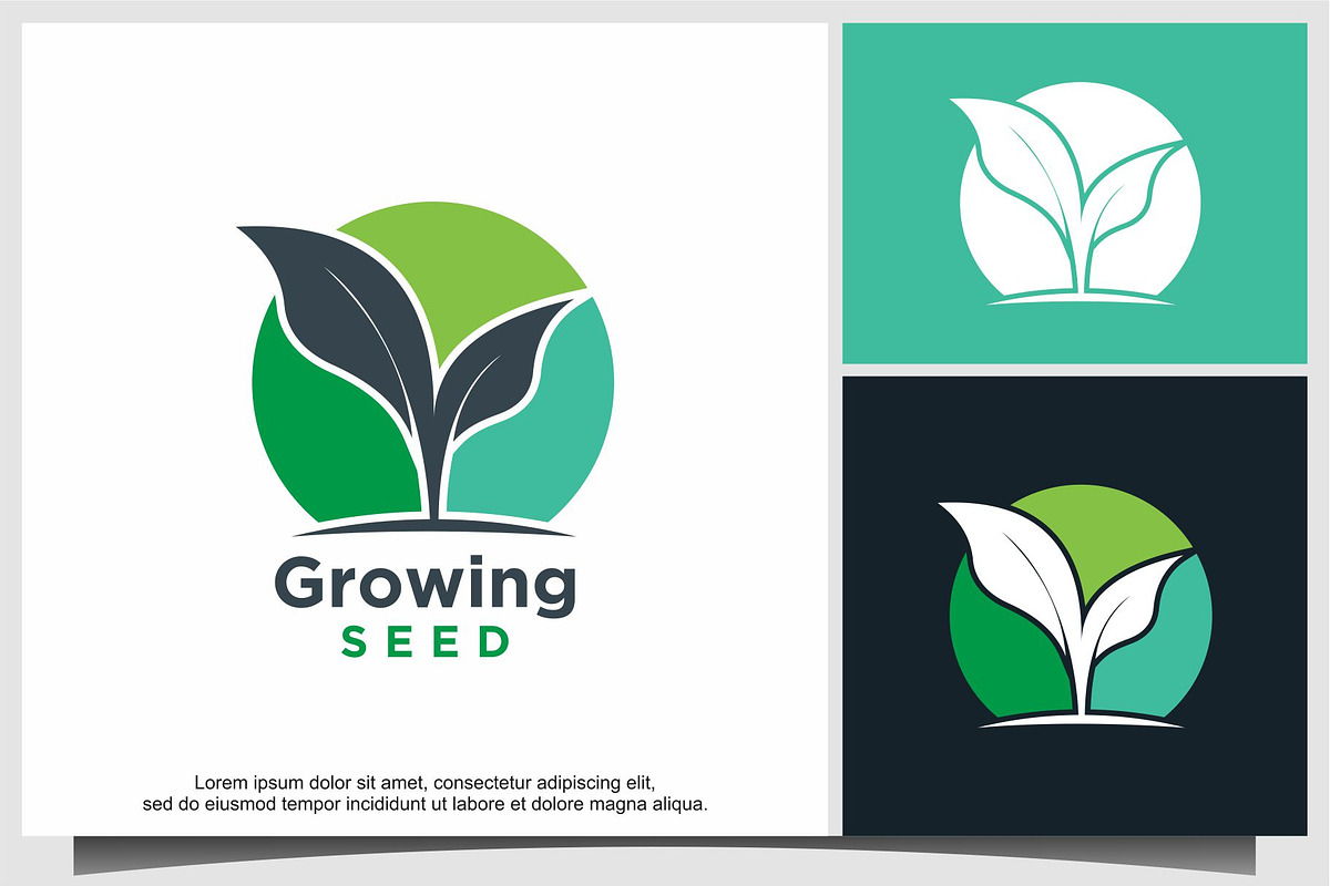 growing seed logo design
