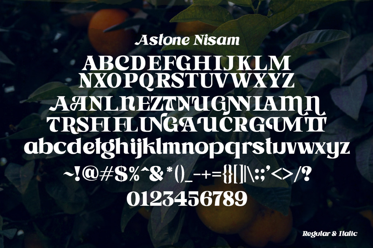 Astone Nisam, a Sans Serif Font by Gatype (Photo 9 of 10)
