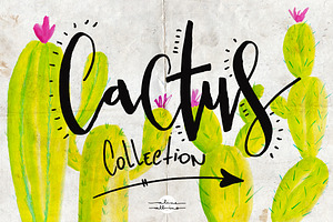 Cactus Collection