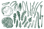 Green Salad Vector Collection, a Food Illustration by Lubov Illustrations Shop (Thumbnail 3 of 7)