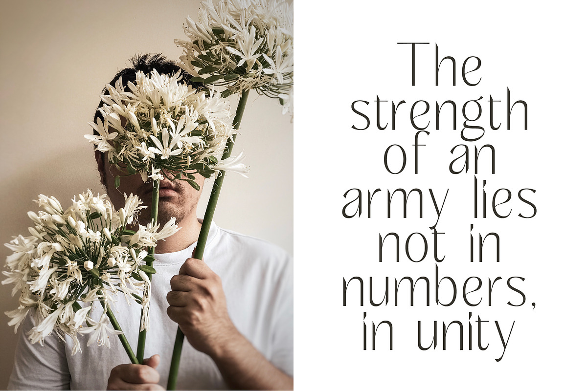 Kingray Quento Luxury Display Font, a Sans Serif Font by timelesstype.co (Photo 7 of 20)