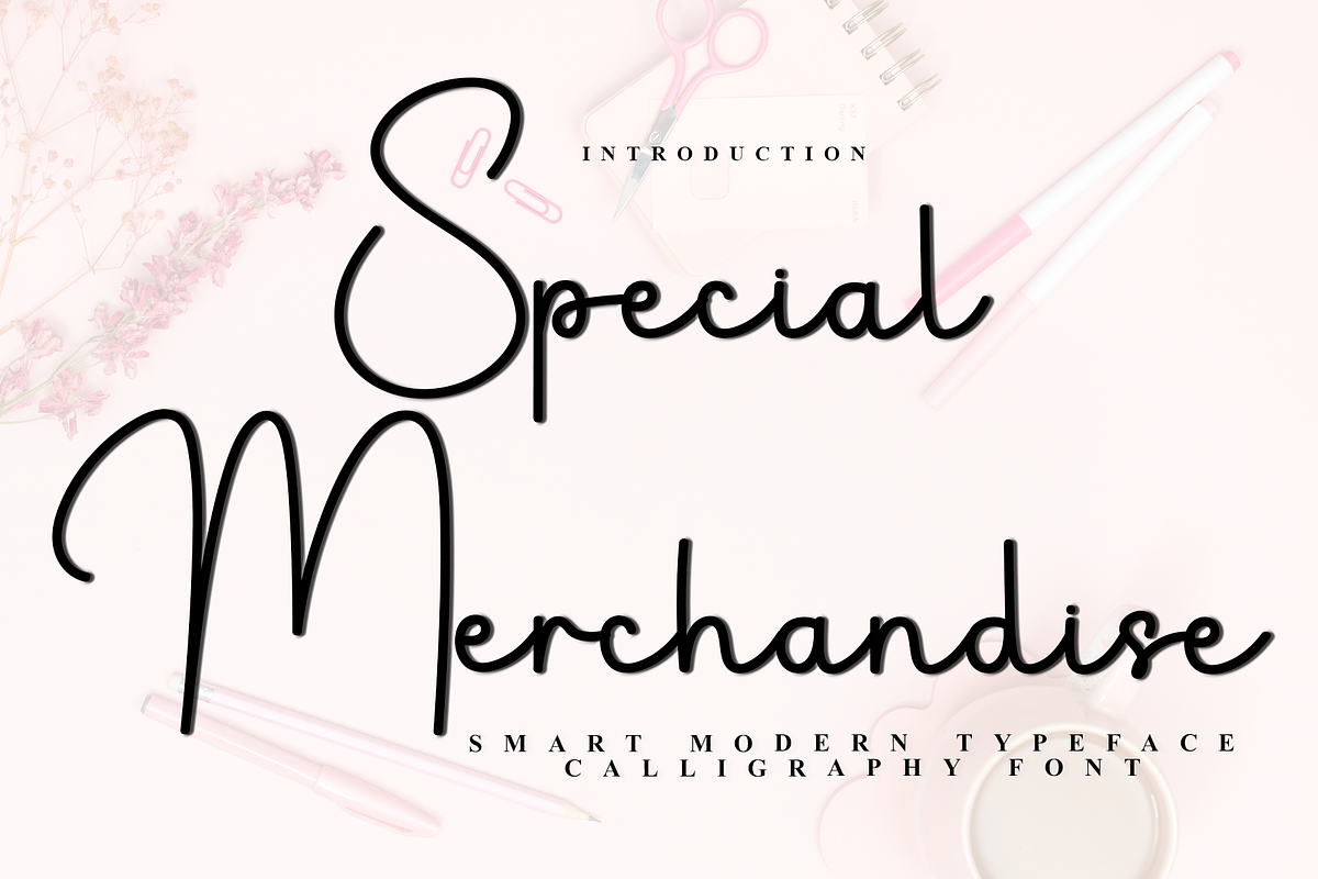 Special Merchandise, a Handwritten Font by InermediaSTUDIO (Photo 1 of 8)