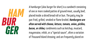 Steclo, a Sans Serif Font by Pepper Type (Thumbnail 5 of 11)