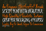 Russell Brush Script Font, a Script Font by Tom Chalky (Thumbnail 4 of 8)