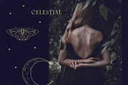 Solar & lunar. Sparkle of the planet, a Decorative Illustration by Summer Nightingale Art (Thumbnail 3 of 10)