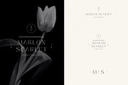 Elegant | Logo Brand Pack, a Branding & Logo Template by Studio Leelou (Thumbnail 5 of 10)