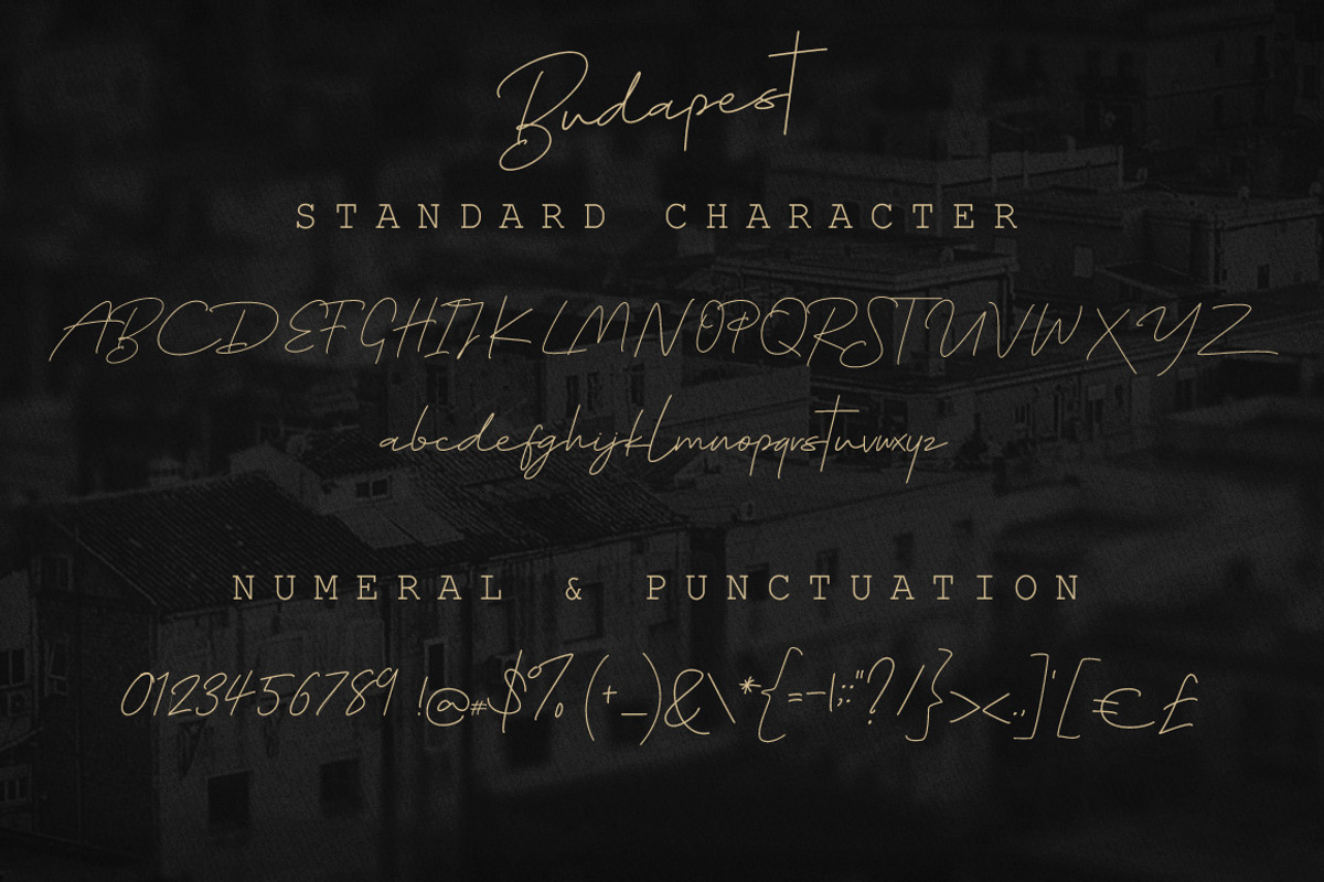 Lovely Script Bundle preview 3