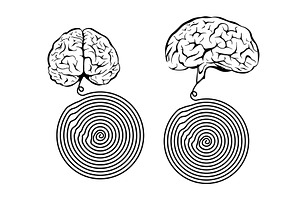 Brain line spiral. Structured, an Education Illustration by Nenahliadava Design