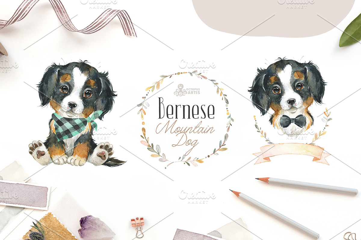 Puppy Paws. Watercolor Collection, an Illustration by OctopusArtis (Photo 7 of 11)