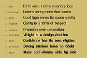 Havenite, a Serif Font by din-studio.com (Thumbnail 7 of 16)