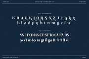 Revaltin Modern Serif Font, a Serif Font by RantautypeStudio (Thumbnail 15 of 15)