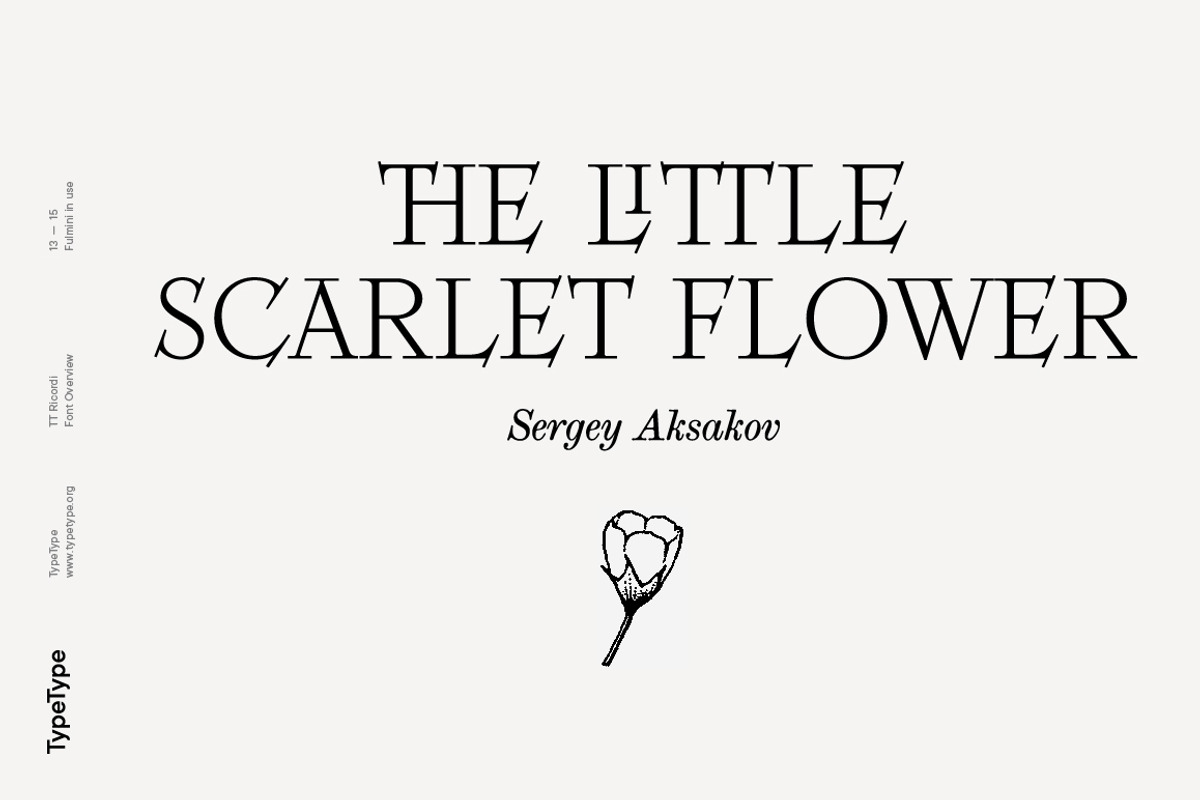TT Ricordi, a Serif Font by TypeType (Photo 13 of 15)