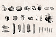 Vegetables Engravings Set, an Object Graphic by Graphic Goods (Thumbnail 2 of 6)