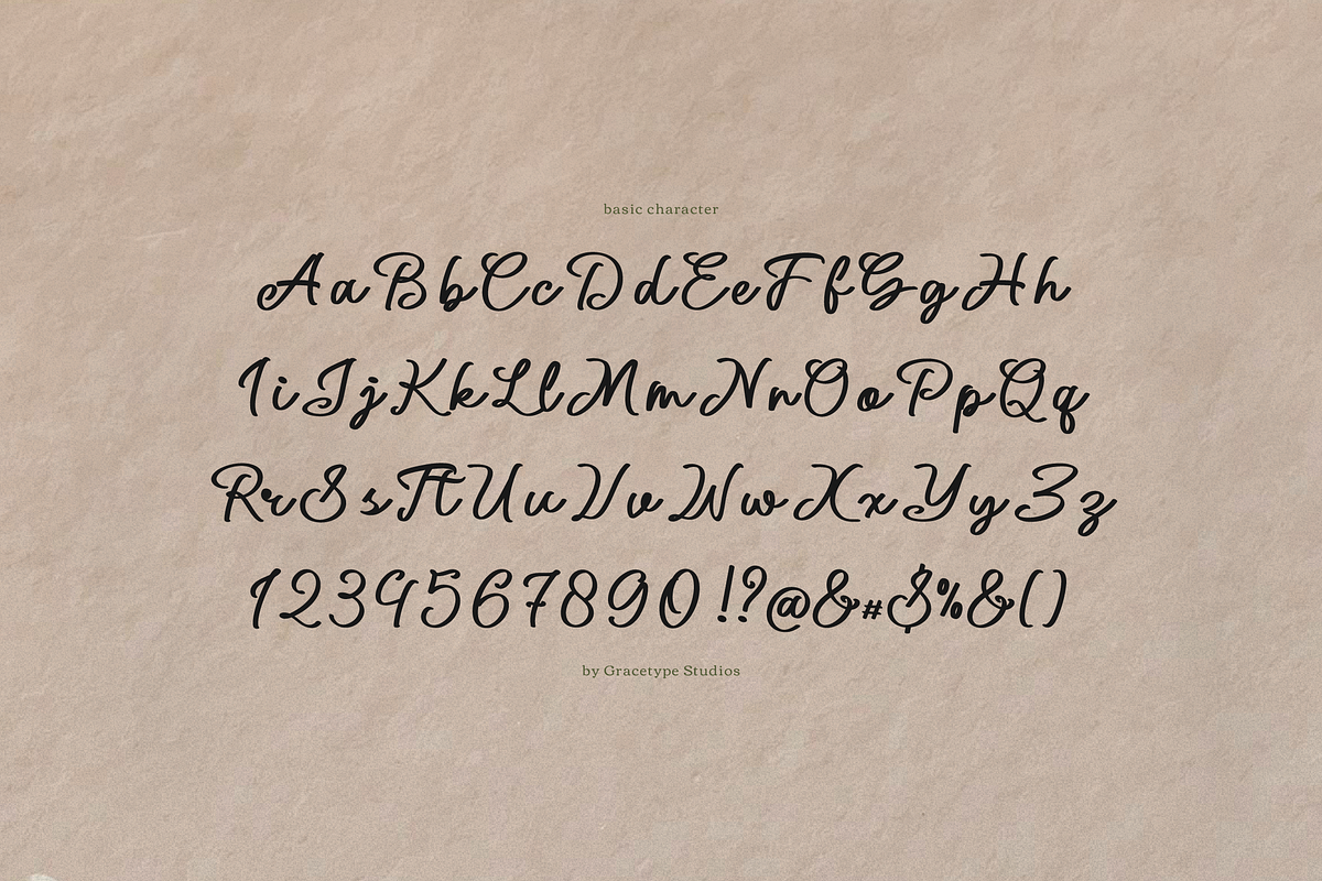 Northwick Cursive Handwritten Script, a Script Font by gracetype_studio (Photo 10 of 12)