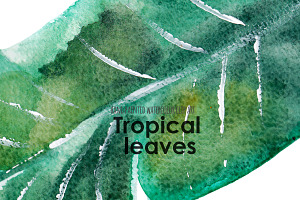 Palm Leaf Tropical Clip Art