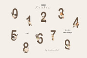 Watercolor Spring Birds & Blossoms, an Animal Illustration by Jenteva Art (Thumbnail 14 of 17)