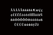 Dainty Fushion Modern Serif Font, a Serif Font by UICreative (Thumbnail 10 of 12)