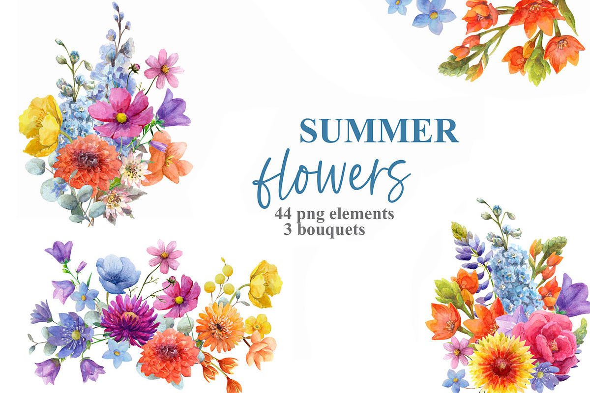 Watercolor summer wild flowers., an Illustration by yulia.sukhanova (Photo 1 of 3)