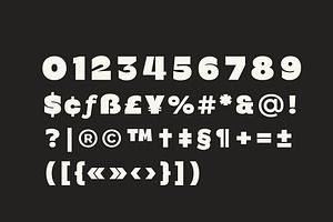 Bermia Display Font