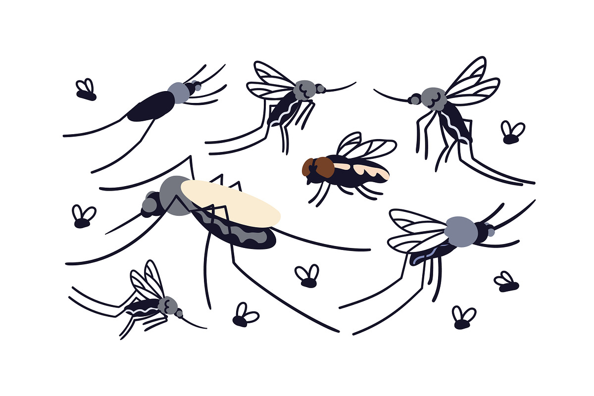 Pest insects, bloodsuckers set, an Animal Illustration by Good Studio (Photo 3 of 3)