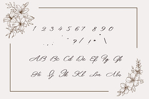 Helena Stylish Script Font