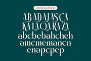 Kozan - Elegant Modern Serif, a Serif Font by timelesstype.co (Thumbnail 19 of 20)
