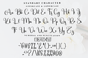 Beautiful Handmade, a Handwritten Font by FreshTypeINK (Thumbnail 5 of 8)