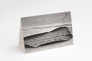 5x7 Greeting Card Mockup Horizontal