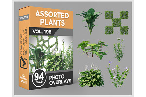 94 Assorted Plants Photo Overlays