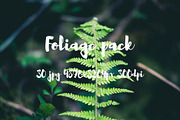 Foliage pack, a Templates & Theme by ApertureVintage (Thumbnail 10 of 21)