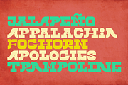 Twin Lakes Display Font, a Font by Holt510 (Thumbnail 8 of 11)