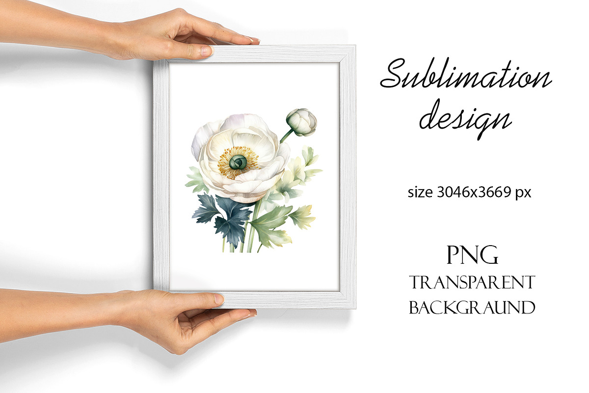 White flower. Watercolor clipart col, a Decorative Illustration by ElenazlataArt (Photo 8 of 9)