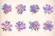 watercolor phlox cluster flowers, an Illustration by GatewayDesign (Thumbnail 3 of 9)