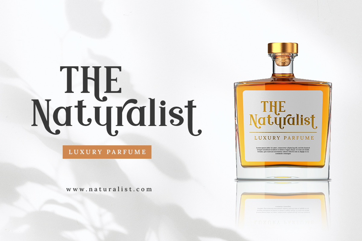 Modern Royale - Luxury Serif Font, a Serif Font by Bluestype Studio (Photo 4 of 8)