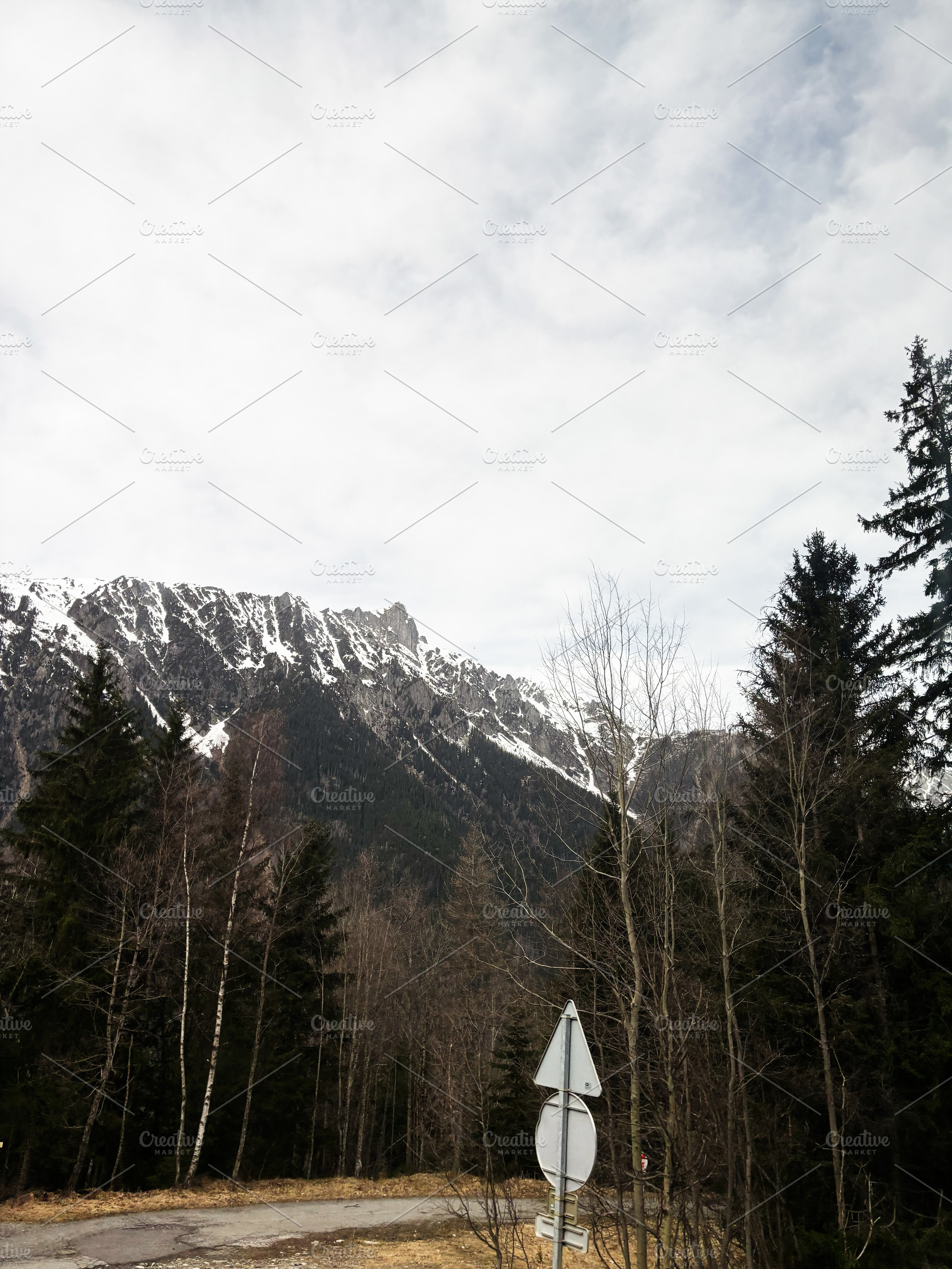 Scenic mountain view with snowy peaks and forest in a serene landscape Switzerl, a Photo by AS photostudio