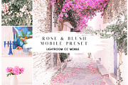 Rose & Blush Blogger Mobile Preset, an Action Add-On by Lux Light (Thumbnail 13 of 13)