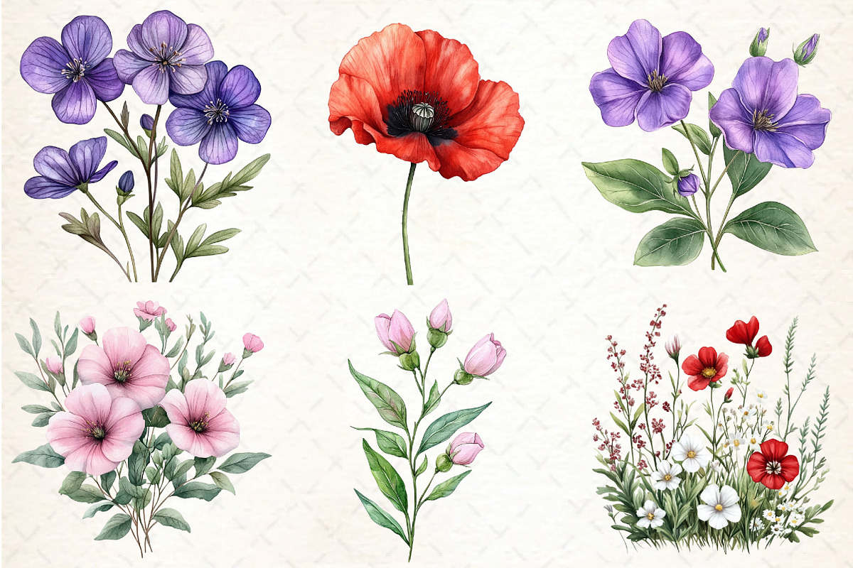 Wild Flowers Watercolor Clipart PNG, an Illustration by DreamCafeArt (Photo 4 of 7)