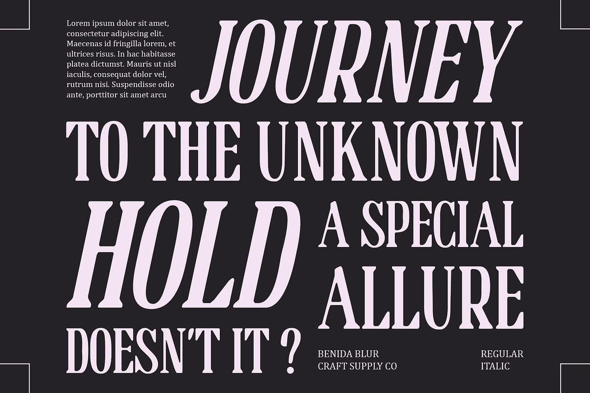 Benida Blur, a Serif Font by Craft Supply Co. (Photo 2 of 8)