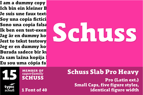 SchussSlabProHeavy No.15 (1 Font) preview 6