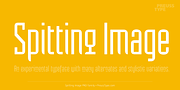 Spitting Image PRO, a Sans Serif Font by preussTYPE (Thumbnail 1 of 9)