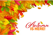 Autumn season banner, a Seasonal Illustration by Seavector Studio (Thumbnail 3 of 3)