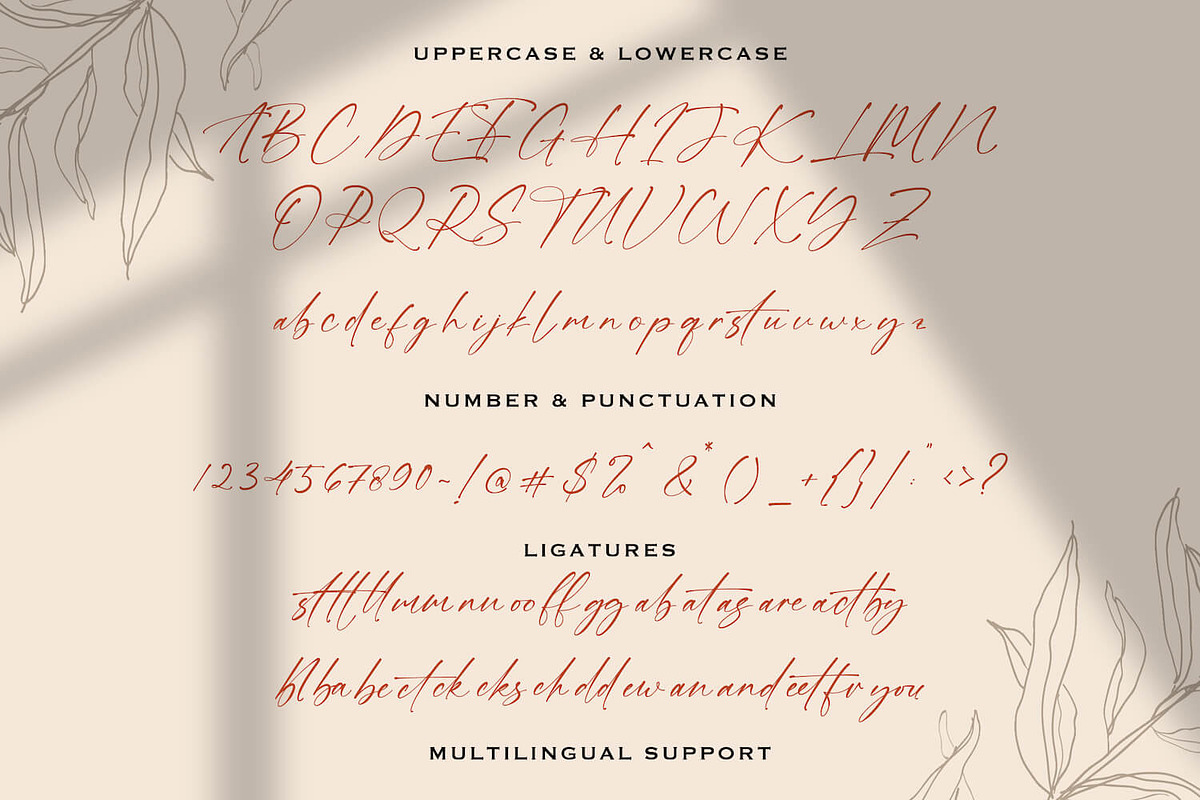 Alatas Script - Signature Font, a Script Font by StringLabs (Photo 10 of 11)