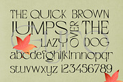 Gyro Serif Display, a Serif Font by Alandya TypeFoundry (Thumbnail 8 of 12)