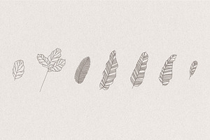 Set Of Hand Drawn Greenery