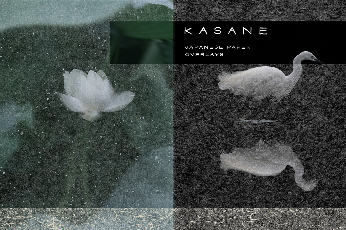 Kasane - Japanese Paper Overlays, a Texture Graphic by alonahaidash (Photo 1 of 22)